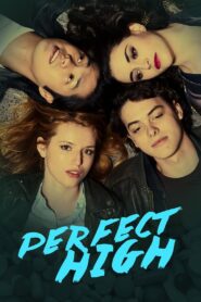 Perfect High 2015 one on netflix