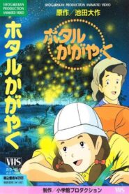 Hotaru Kagayaku 1991 one on netflix