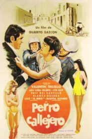 Perro callejero 1980 one on netflix