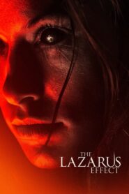The Lazarus Effect 2015 one on netflix