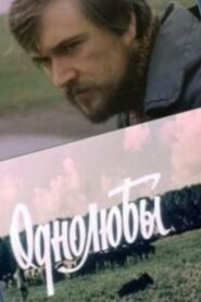 One True Love 1983 one on netflix