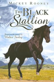 Adventures of the Black Stallion 1990 one on netflix
