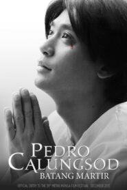 Pedro Calungsod: Batang Martir 2013 one on netflix