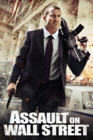 Assault on Wall Street 2013 one on netflix