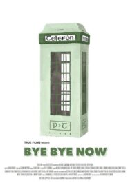 Bye Bye Now 2009 one on netflix