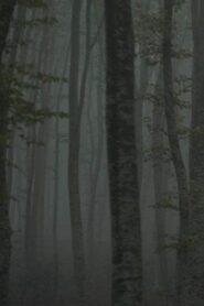 Refuge II: The Ice Path 2018 one on netflix