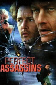 Perfect Assassins 1998 one on netflix