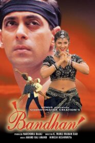 Bandhan 1998 one on netflix