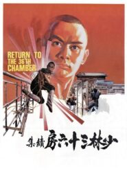 Return to the 36th Chamber 1980 one on netflix