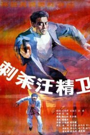 Assassinating Wang Jingwei 1988 one on netflix