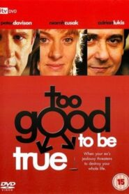 Too Good to Be True 2003 one on netflix