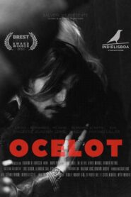 Ocelot 2022 one on netflix