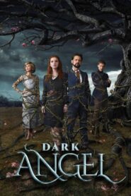 Dark Angel 2019 one on netflix