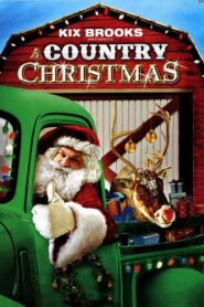 A Country Christmas 2013 one on netflix