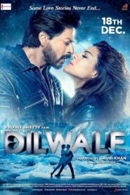 Dilwale 2015 one on netflix