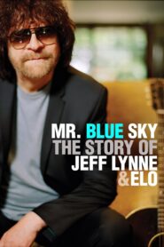 Mr. Blue Sky: The Story of Jeff Lynne & ELO 2012 one on netflix