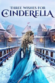 Three Wishes for Cinderella 2021 one on netflix