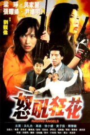 Raging Angels 1998 one on netflix