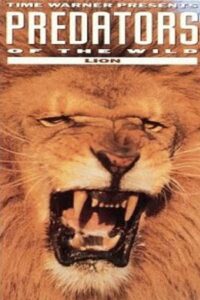 Predators of the Wild: Lion 1992 one on netflix