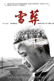 Snowfall 2018 one on netflix