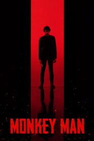 Monkey Man 2024 one on netflix