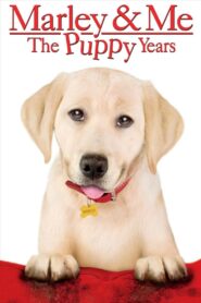 Marley & Me: The Puppy Years 2011 one on netflix