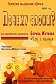 Почему слоны? 1980 one on netflix