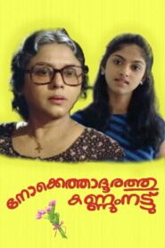 Nokkethadhoorathu Kannum Nattu 1984 one on netflix