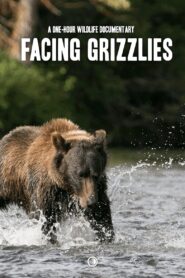 Facing Grizzlies 2022 one on netflix