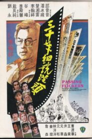 Passing Flickers 1982 one on netflix