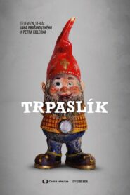 Dwarf 2017 one on netflix