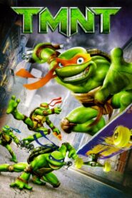 TMNT 2007 one on netflix