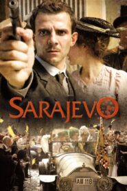 Sarajevo 2014 one on netflix
