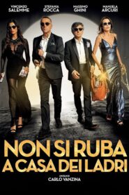 Non si ruba a casa dei ladri 2016 one on netflix