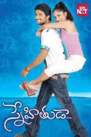 Snehituda 2009 one on netflix