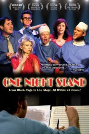 One Night Stand 2013 one on netflix