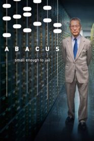 Abacus: Small Enough to Jail 2017 one on netflix