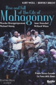The Rise and Fall of the City of Mahagonny 2011 one on netflix