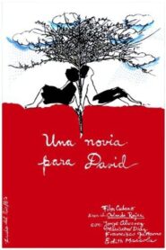 Una novia para David 1987 one on netflix