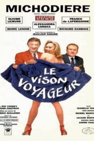 Le vison voyageur 1995 one on netflix
