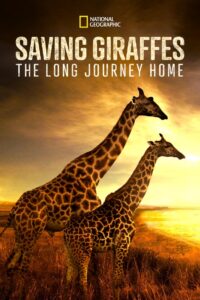 Saving Giraffes: The Long Journey Home 2022 one on netflix