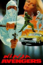 Ninja Avengers 1987 one on netflix