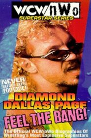 WCW/NWO Superstar Series: Diamond Dallas Page – Feel the Bang! 1999 one on netflix