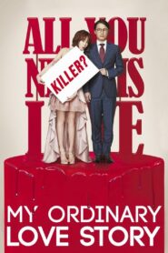 My Ordinary Love Story 2014 one on netflix