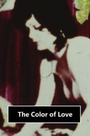 The Color of Love 1994 one on netflix