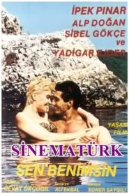 Sen Benimsin 1988 one on netflix