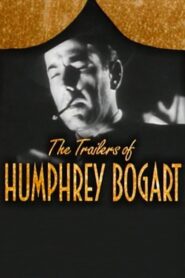 Becoming Attractions: The Trailers of Humphrey Bogart 1997 one on netflix