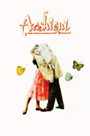 Aashiqui 1990 one on netflix