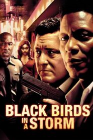 Black Birds in a Storm 2023 one on netflix