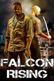 Falcon Rising 2014 one on netflix